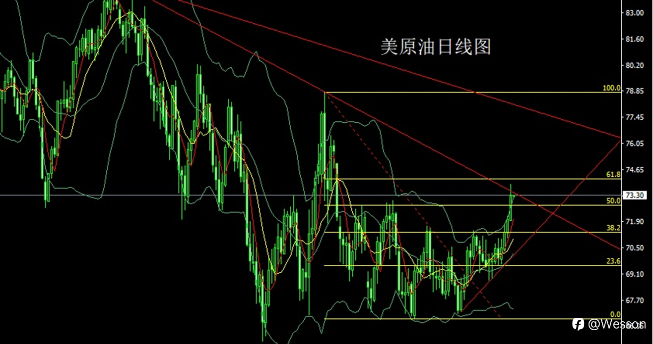 1月3日：避险大阳开门红，金银回踩延续多