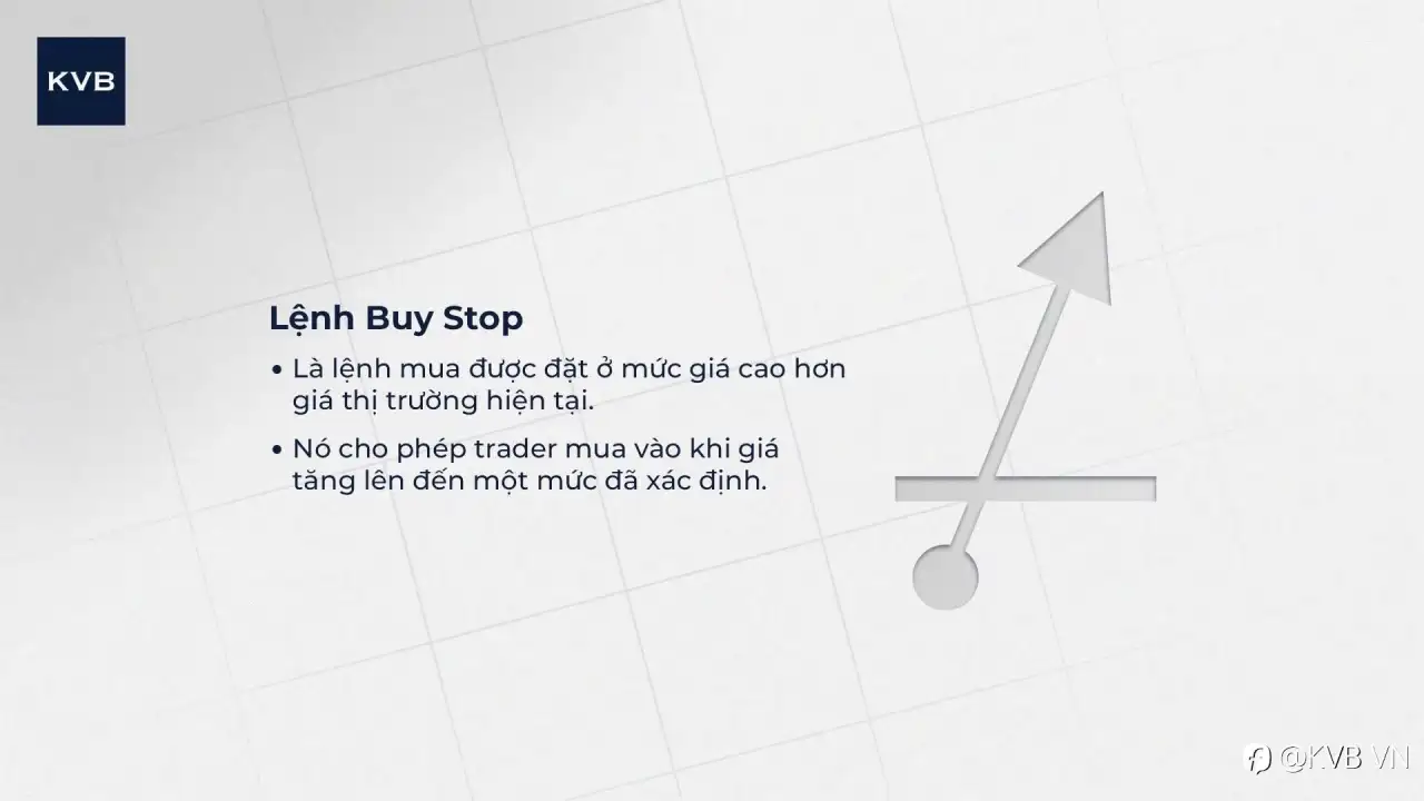 🌟 CÁC LỆNH CƠ BẢN NEWIE CẦN BIẾT KHI TRADING (Phần 1) CHECKKKK! 🌟