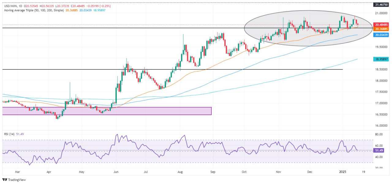 Mexican Peso steadies after mixed US CPI report