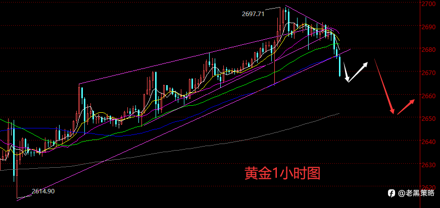 老黑策略：1.13晚盘外汇、黄金、原油分析策略