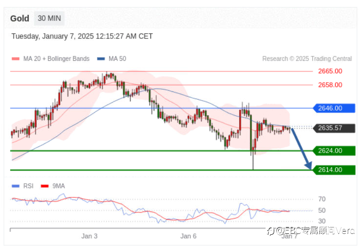 1.7TradingCentral行情分析
