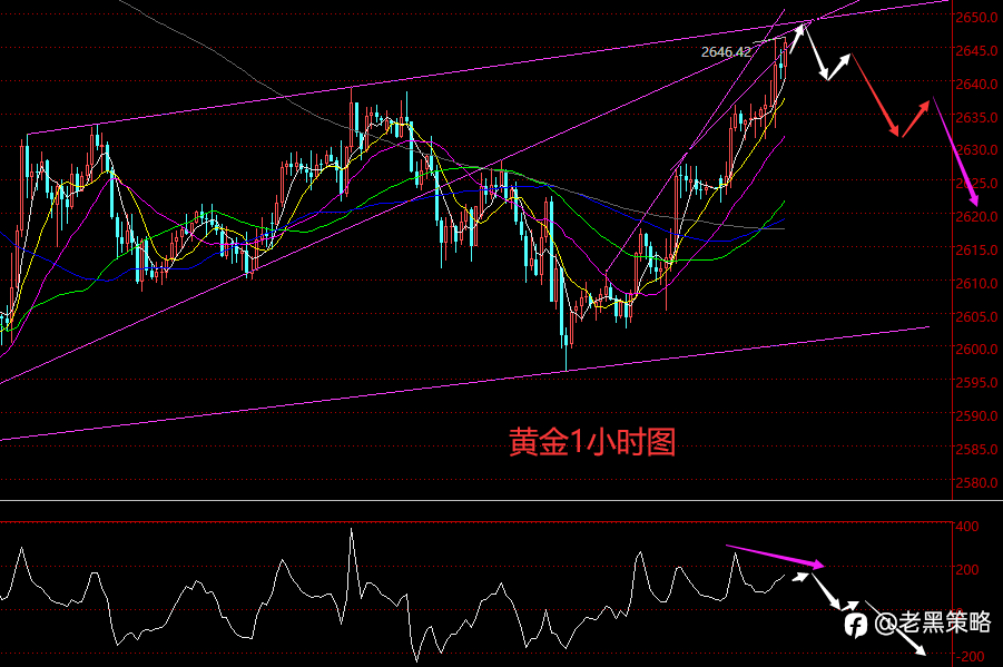 老黑策略：1.2晚盘外汇、黄金、原油分析策略
