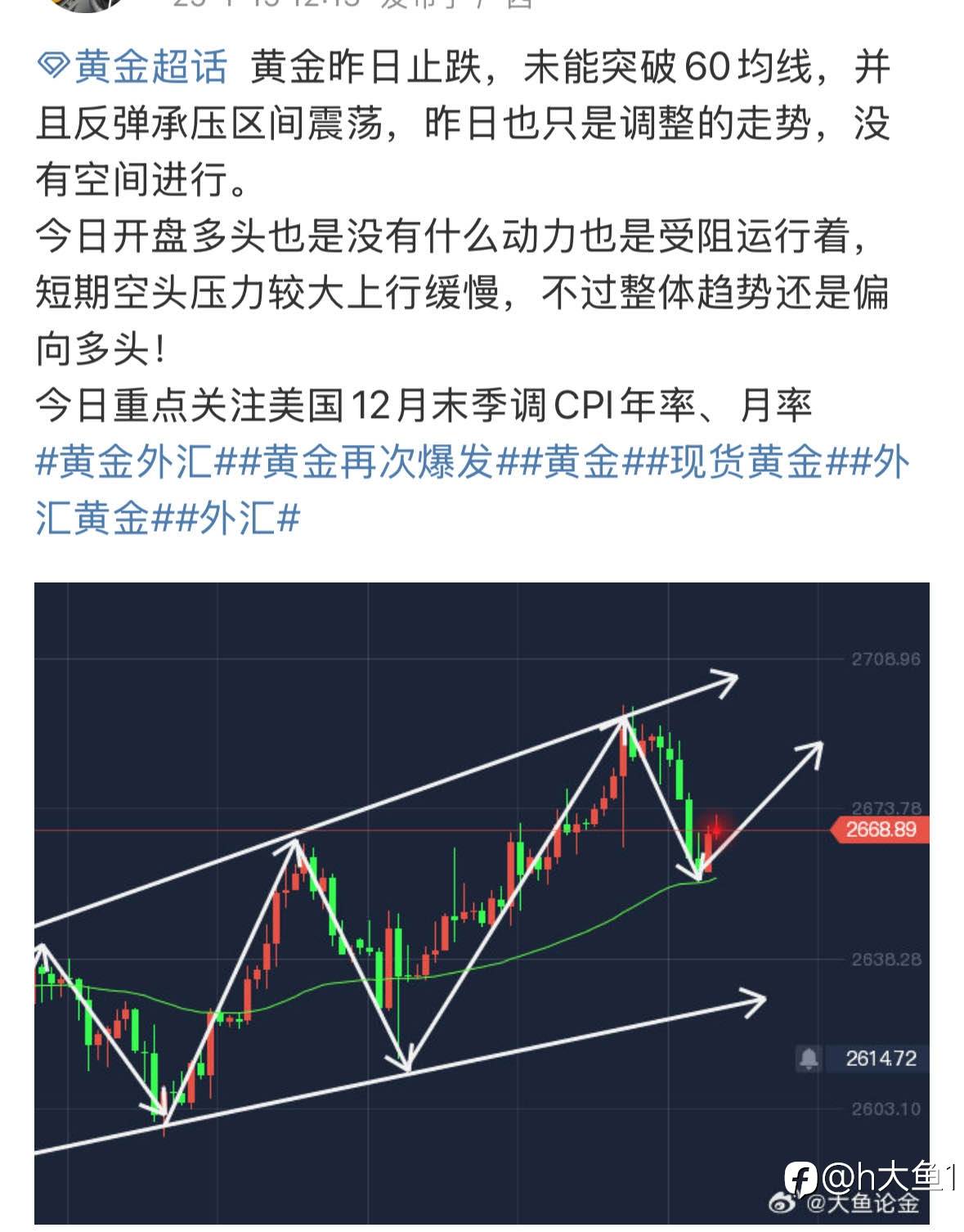 feed-image-1