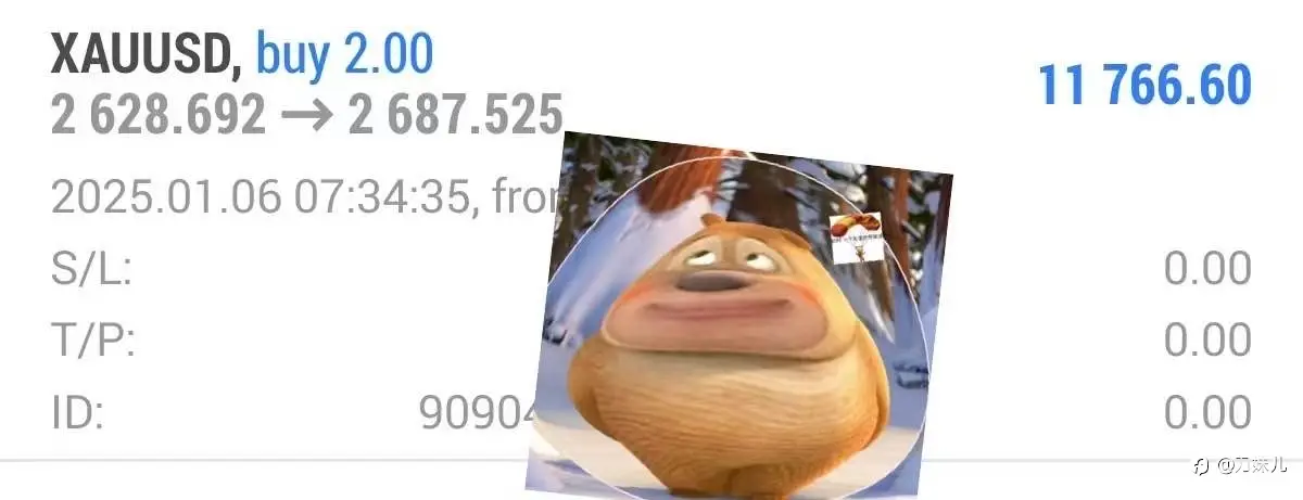 feed image
