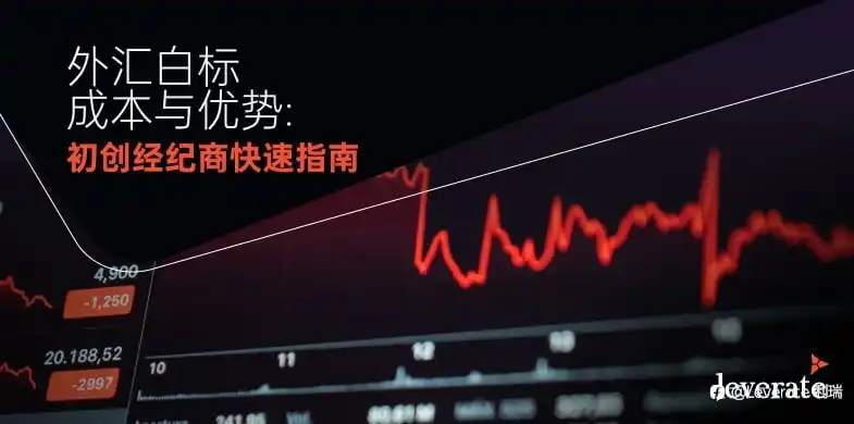 外汇白标成本与优势:初创经纪商快速指南