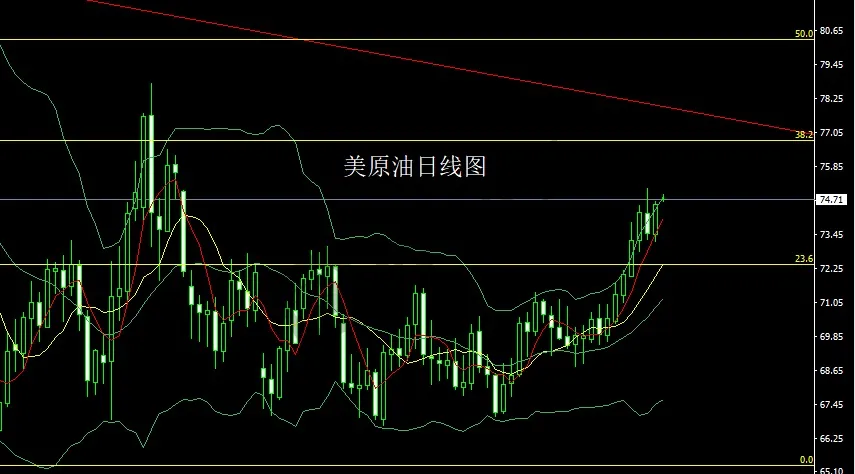 1月8日：数据利好美指升 金银搓揉做短空