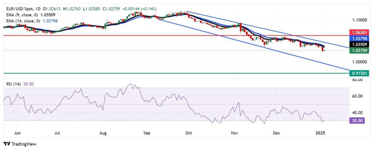 EUR/USD Price Analysis: Finds support near 1.0250 within oversold territory