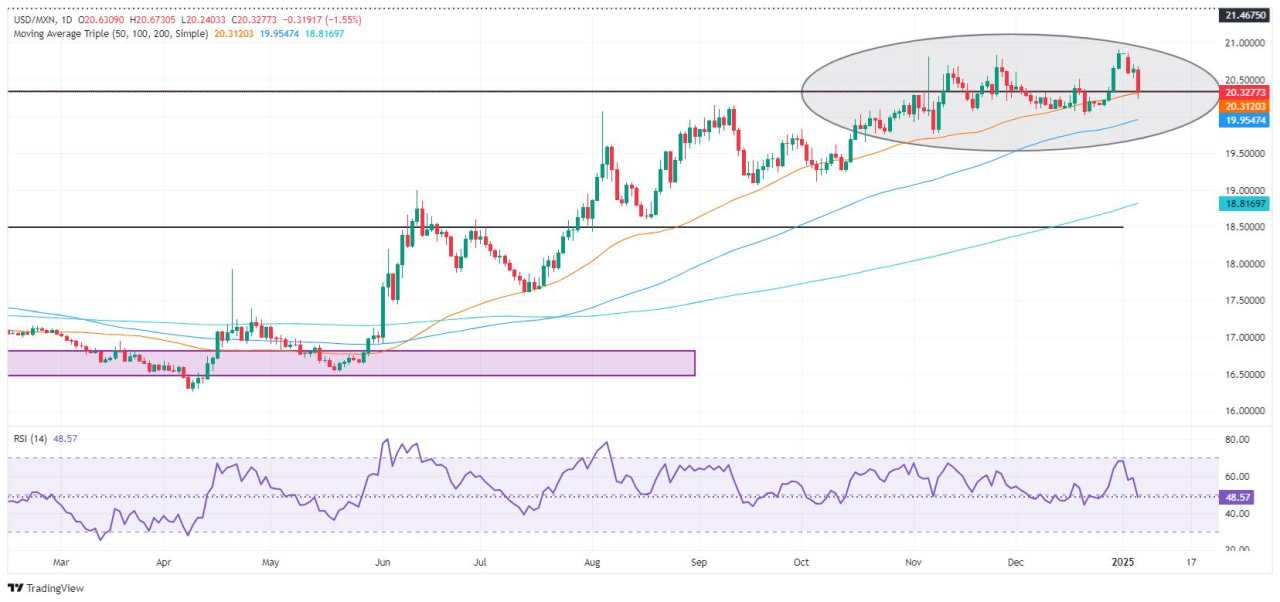 Mexican Peso rallies, unfazed by Trump tariff comments