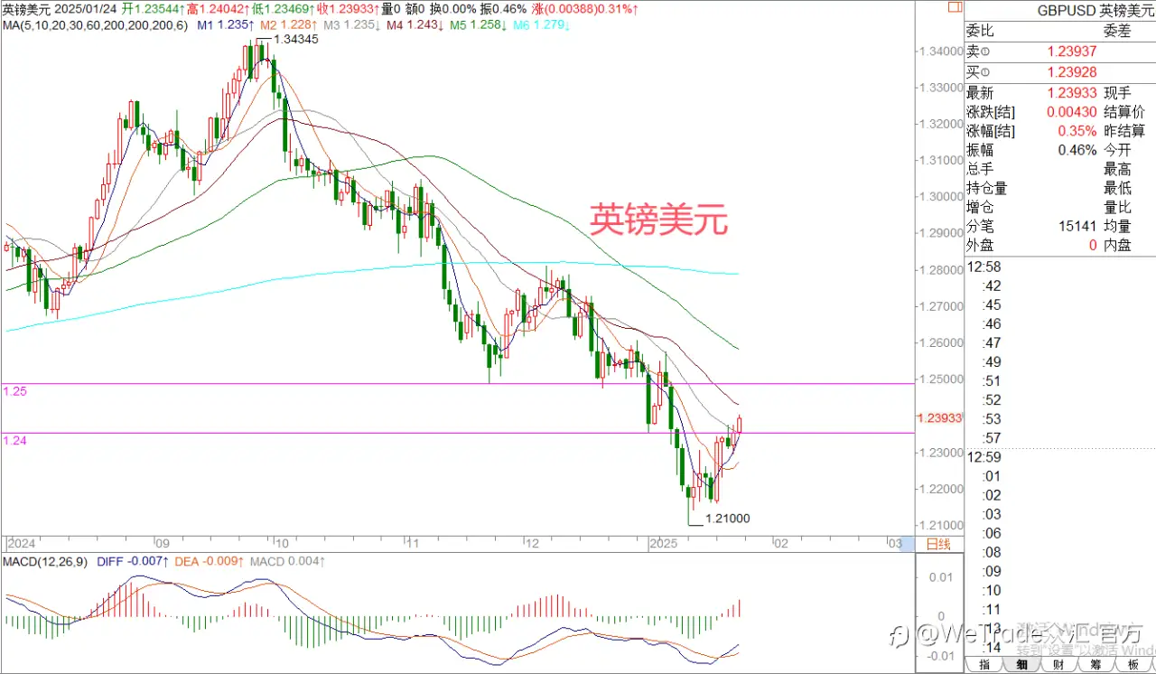 2025年1月24日|每日汇评-策略分析|王萍：黄金非美偏多运行