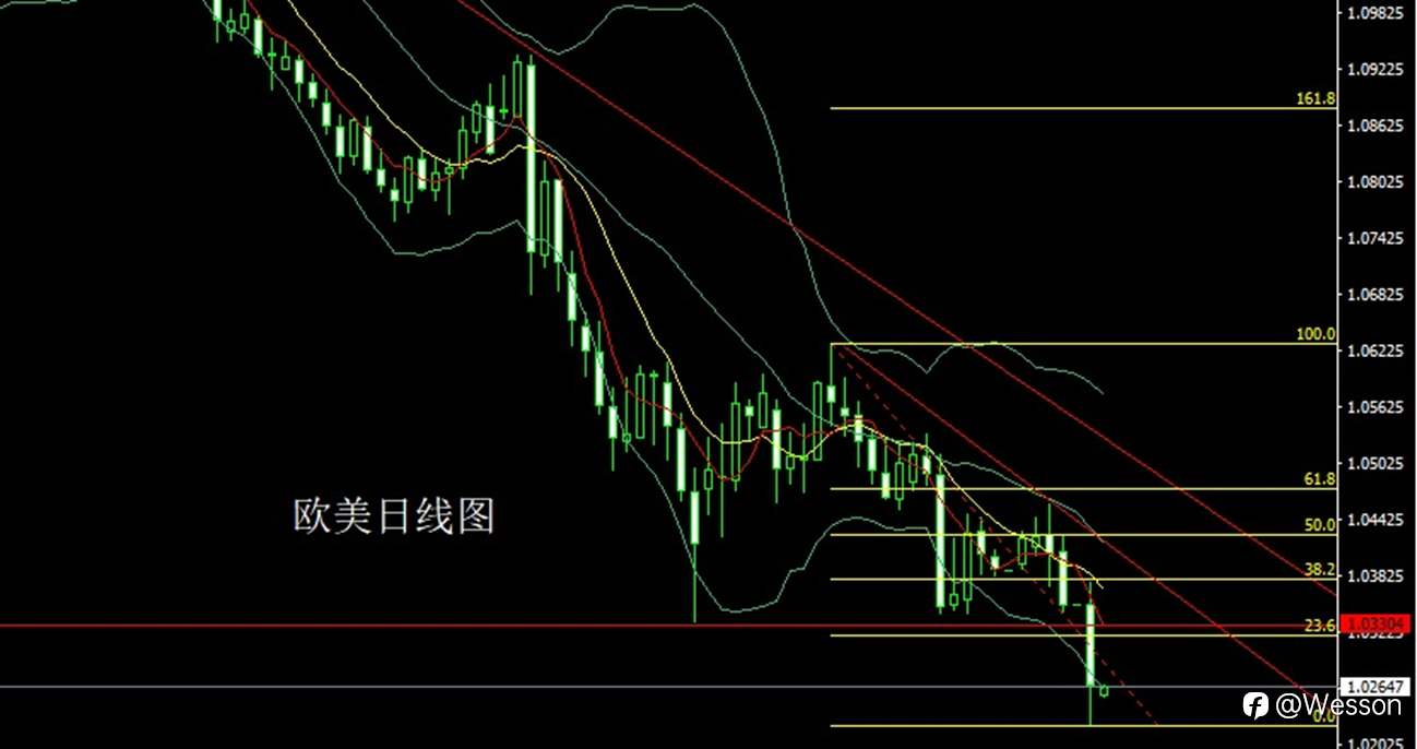 1月3日：避险大阳开门红，金银回踩延续多