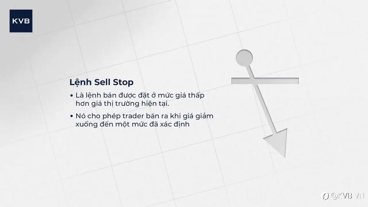 🌟 CÁC LỆNH CƠ BẢN NEWIE CẦN BIẾT KHI TRADING (Phần 1) CHECKKKK! 🌟