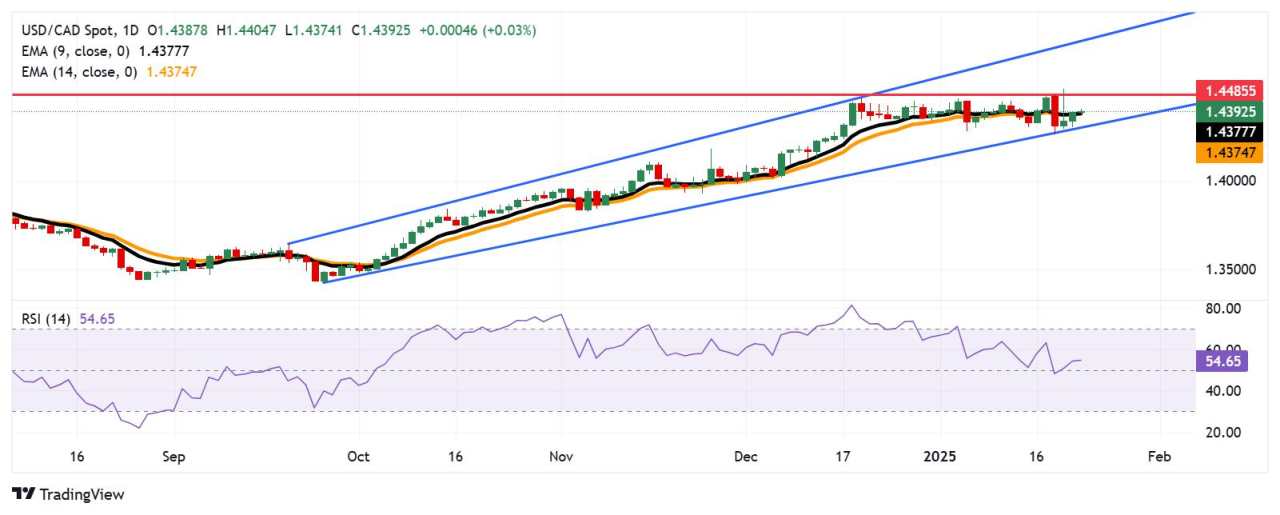 Dự báo giá USD/CAD: Kiểm tra 1,4400; rào cản tiếp theo xuất hiện gần mức cao nhất trong nhiều năm