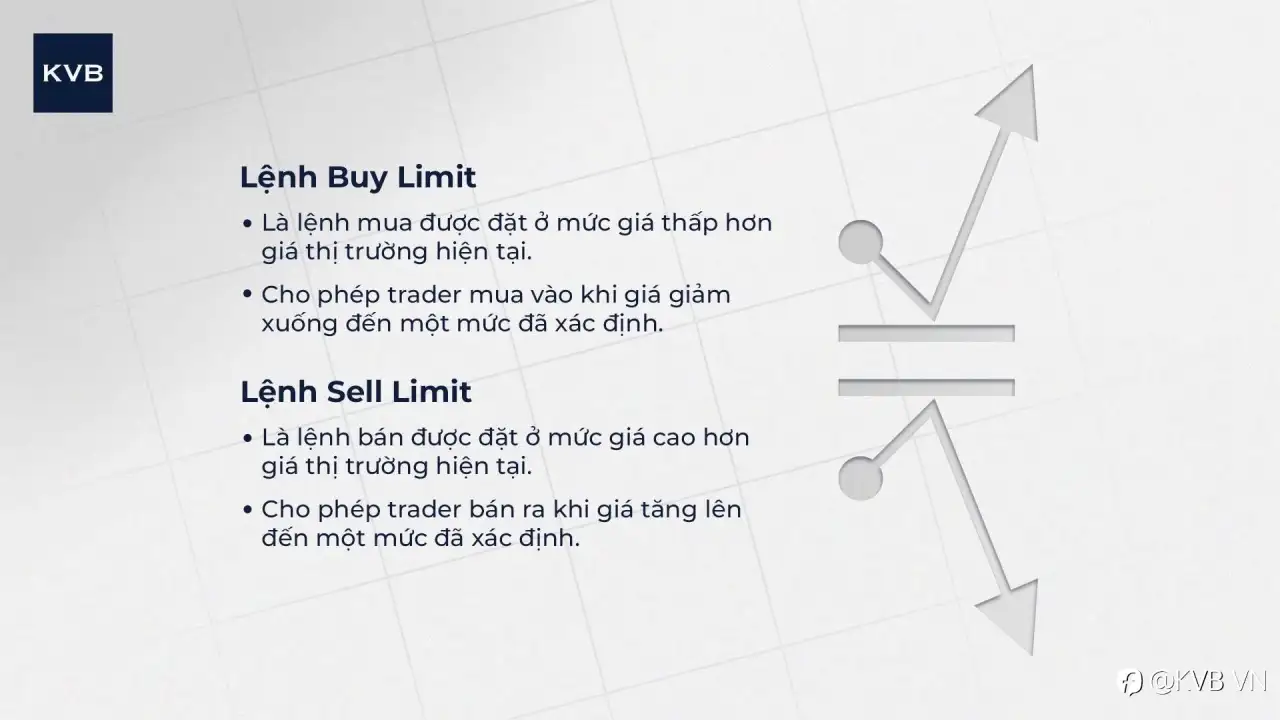 🌟 CÁC LỆNH CƠ BẢN NEWIE CẦN BIẾT KHI TRADING (Phần 1) CHECKKKK! 🌟