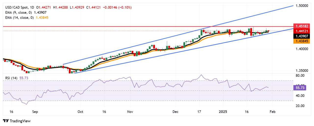 Dự báo giá USD/CAD: Duy trì vị trí trên mức hỗ trợ 1,4400 gần EMA chín ngày