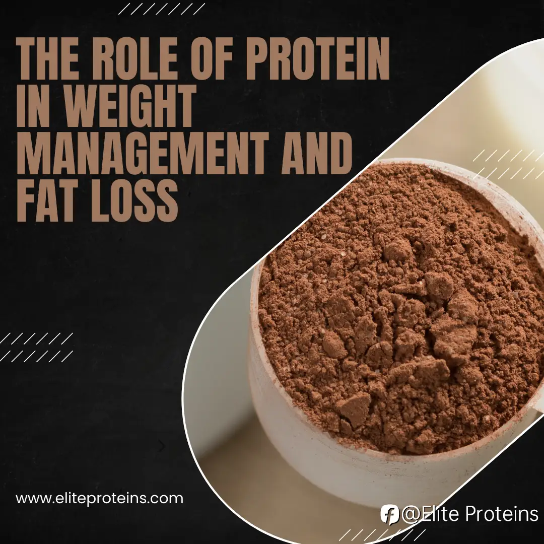 The Role of Protein in Weight Management and Fat Loss