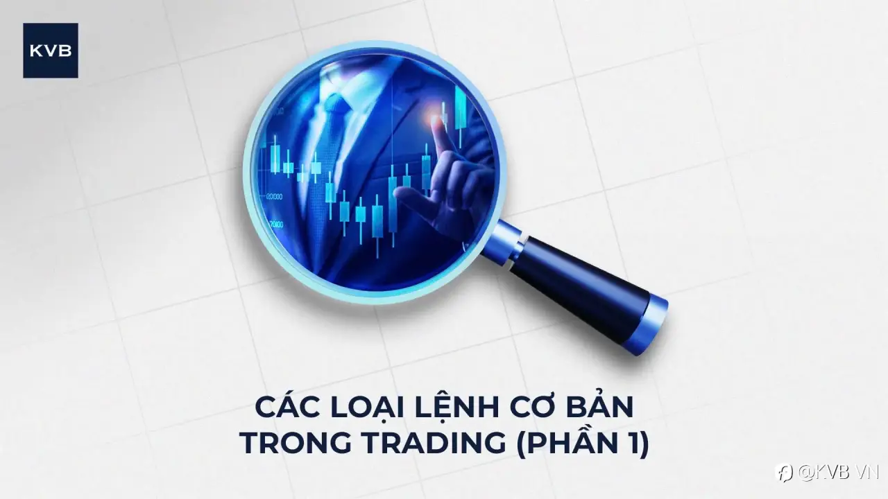 🌟 CÁC LỆNH CƠ BẢN NEWIE CẦN BIẾT KHI TRADING (Phần 1) CHECKKKK! 🌟