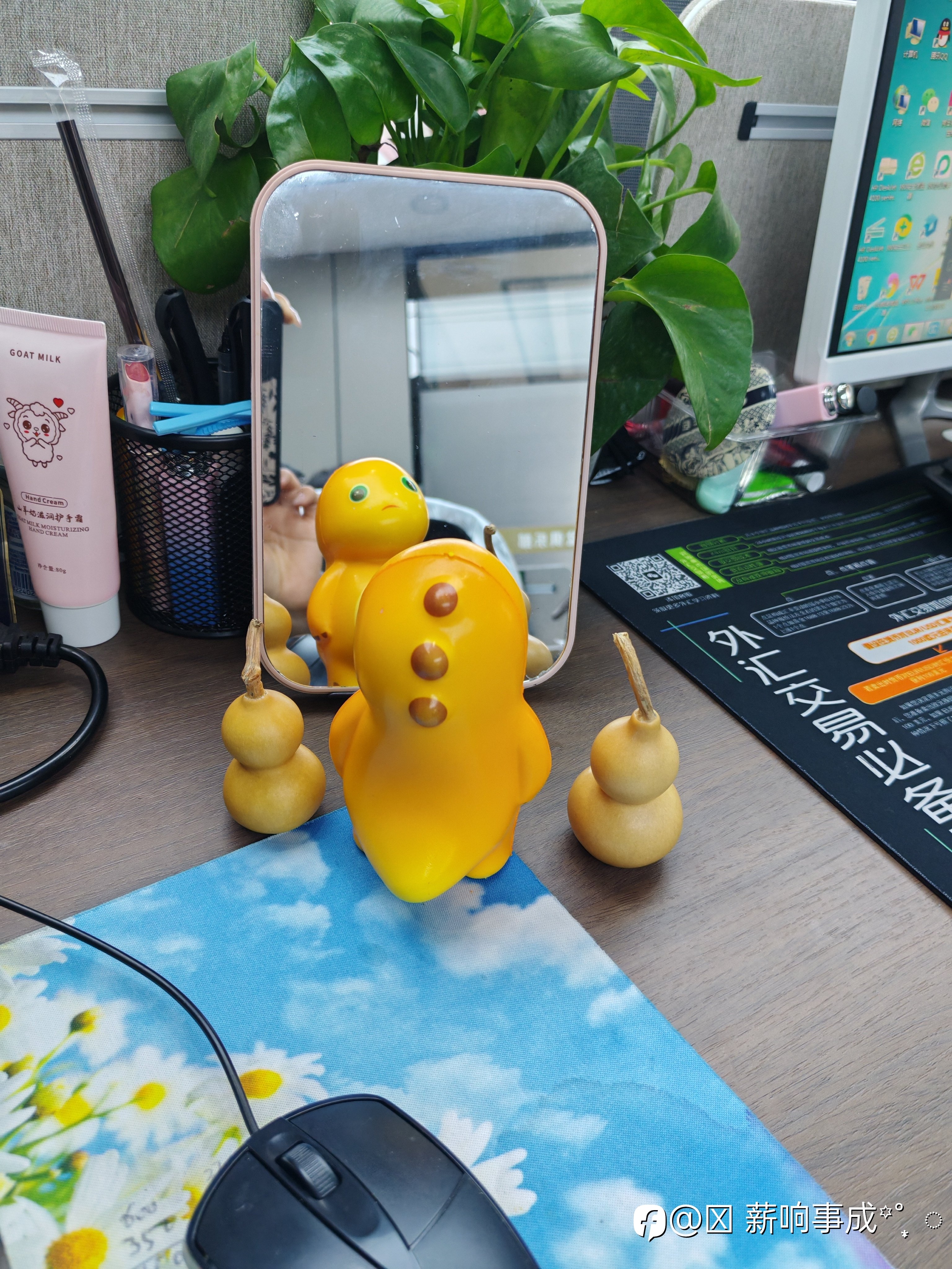 现在没有行情，我不是奶龙，奶龙发呆中………