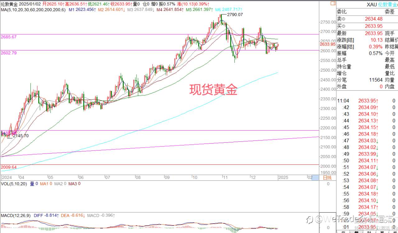 2025年1月2日|每日汇评-策略分析|王萍：原油日线震荡偏多运行