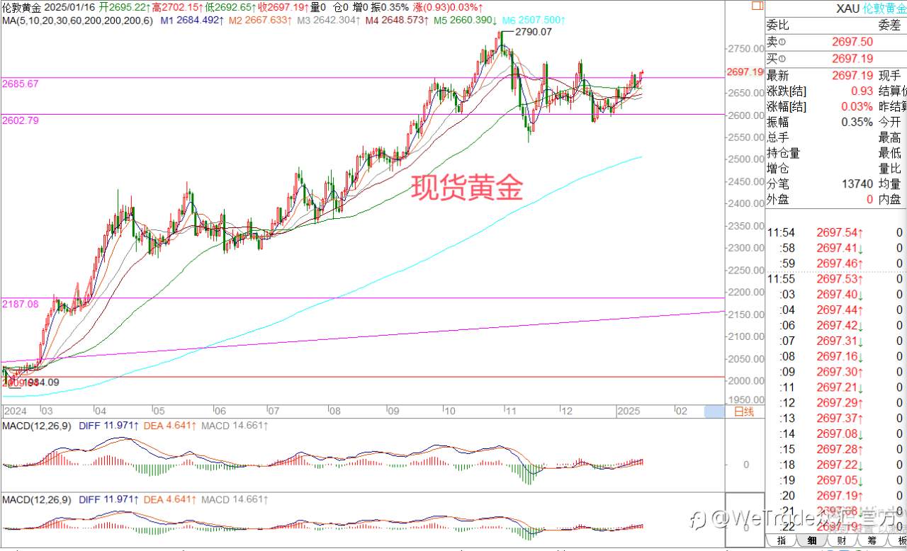 2025年1月16日|每日汇评-策略分析|王萍：原油黄金保持震荡偏多运行