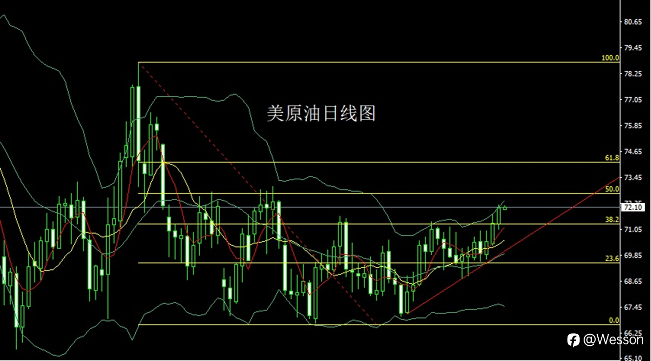 1月2日：避险推升阳包阴，金银逢低先多