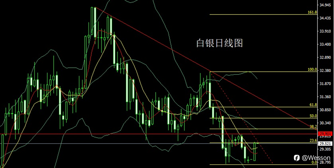 1月3日：避险大阳开门红，金银回踩延续多