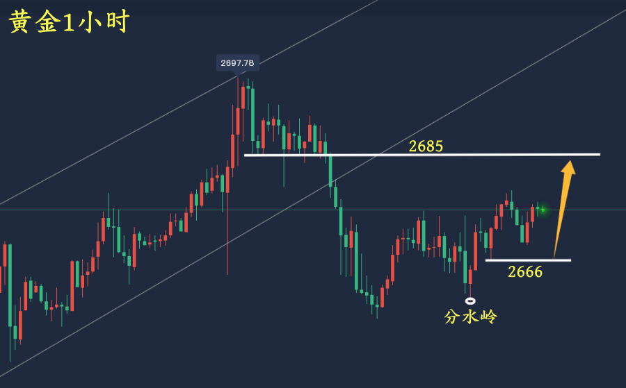 万锦晟1.15黄金分析和操作建议,黄金横盘蓄势有上升!