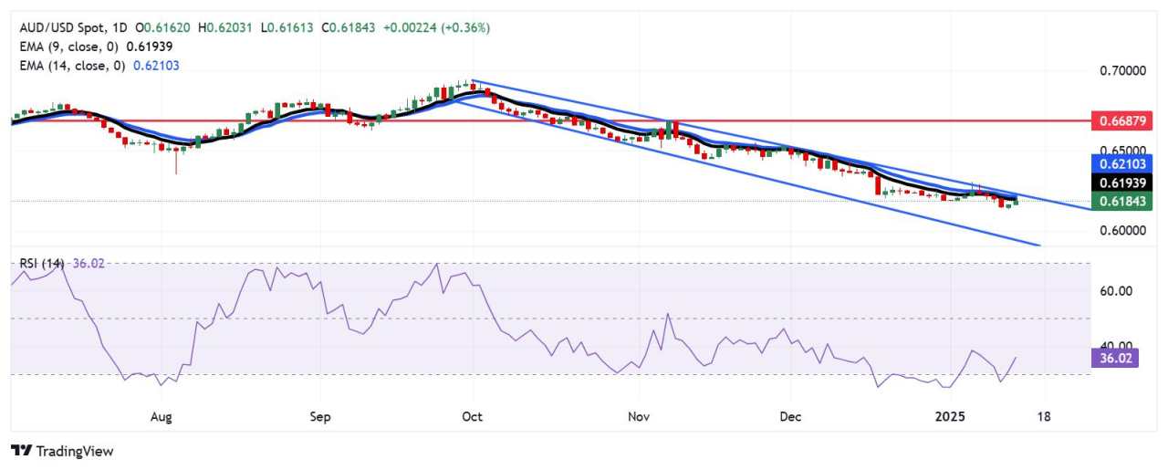 Australian Dollar rises amid strong commodity prices