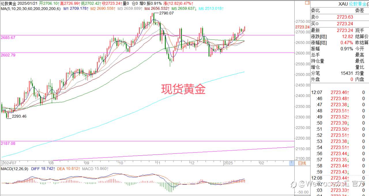 2025年1月21日|每日汇评-策略分析|王萍：黄金偏多运行中