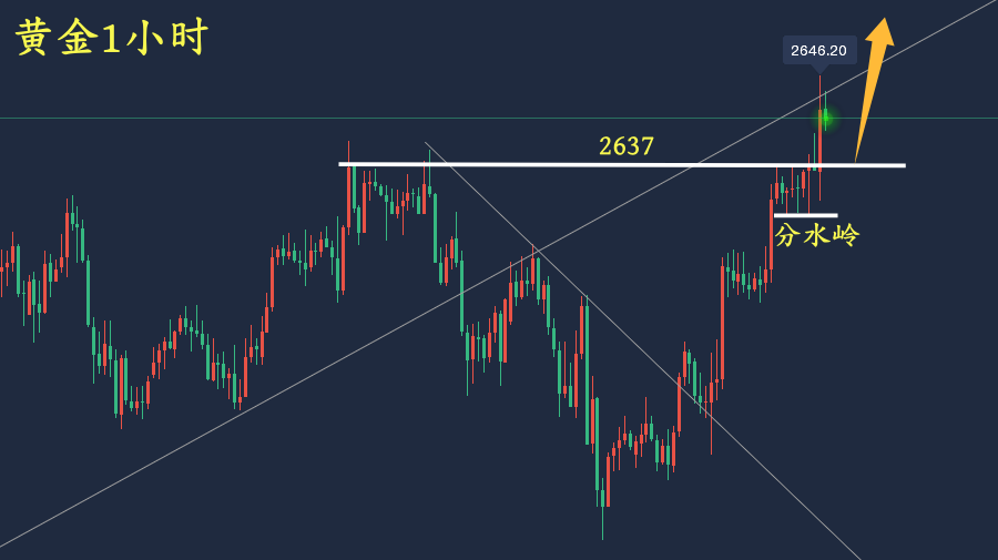 万锦晟1.2晚间黄金分析和布局,黄金强势上升延续多!