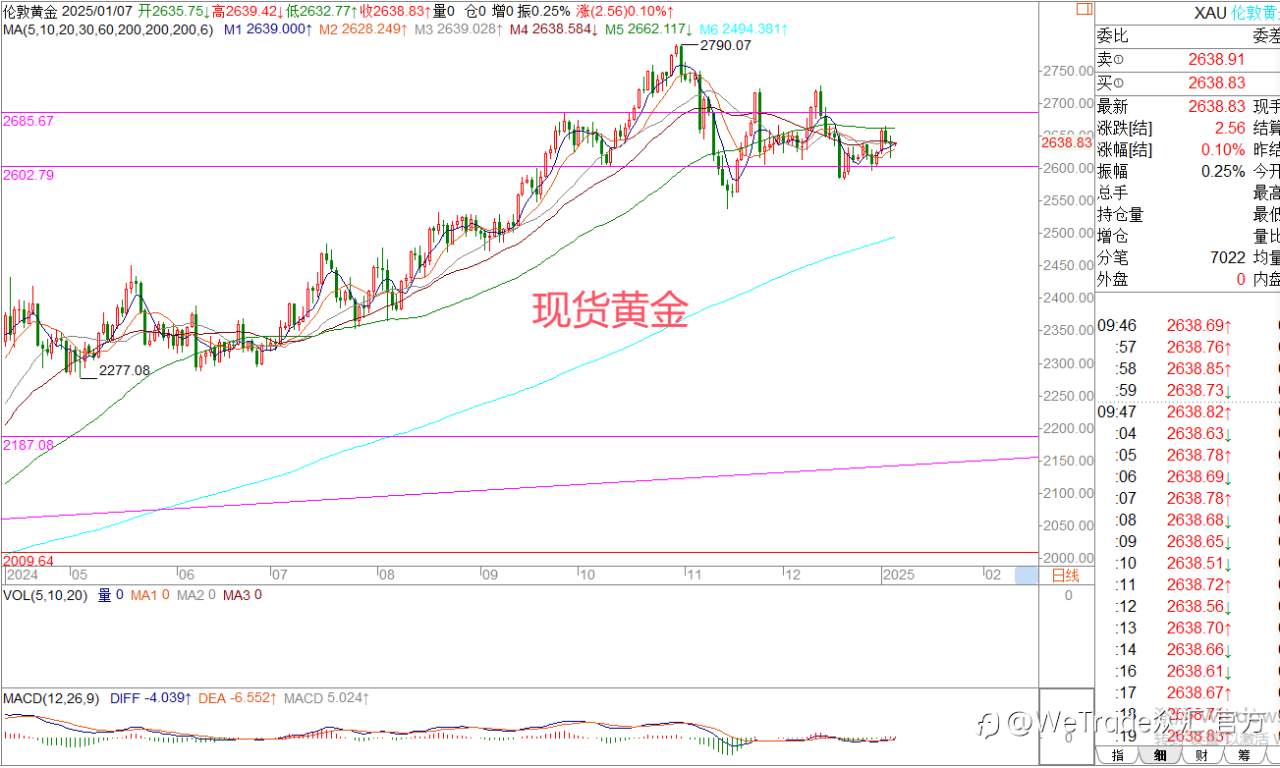 2025年1月7日|每日汇评-策略分析|王萍：非美震荡止跌运行