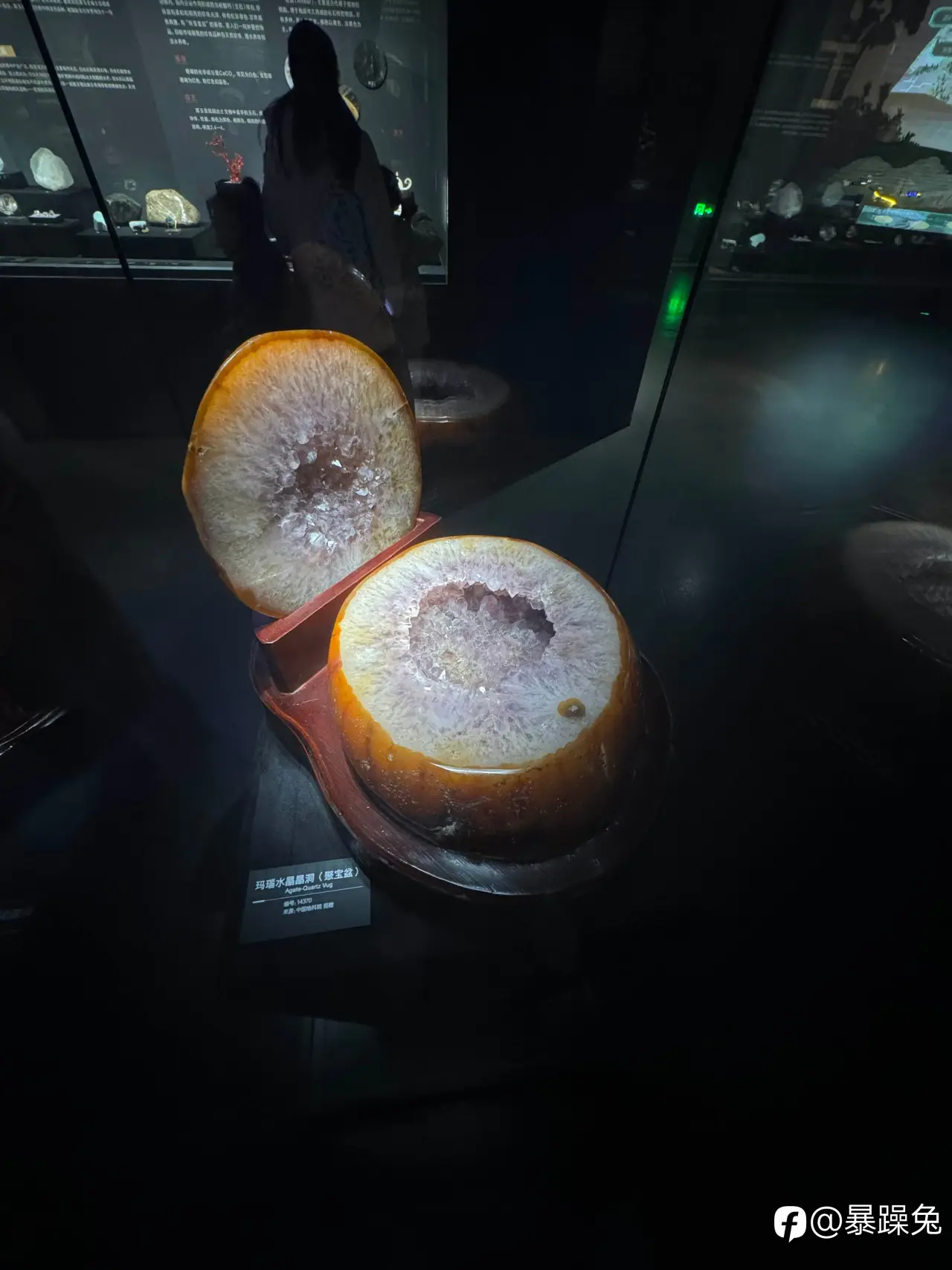 feed image