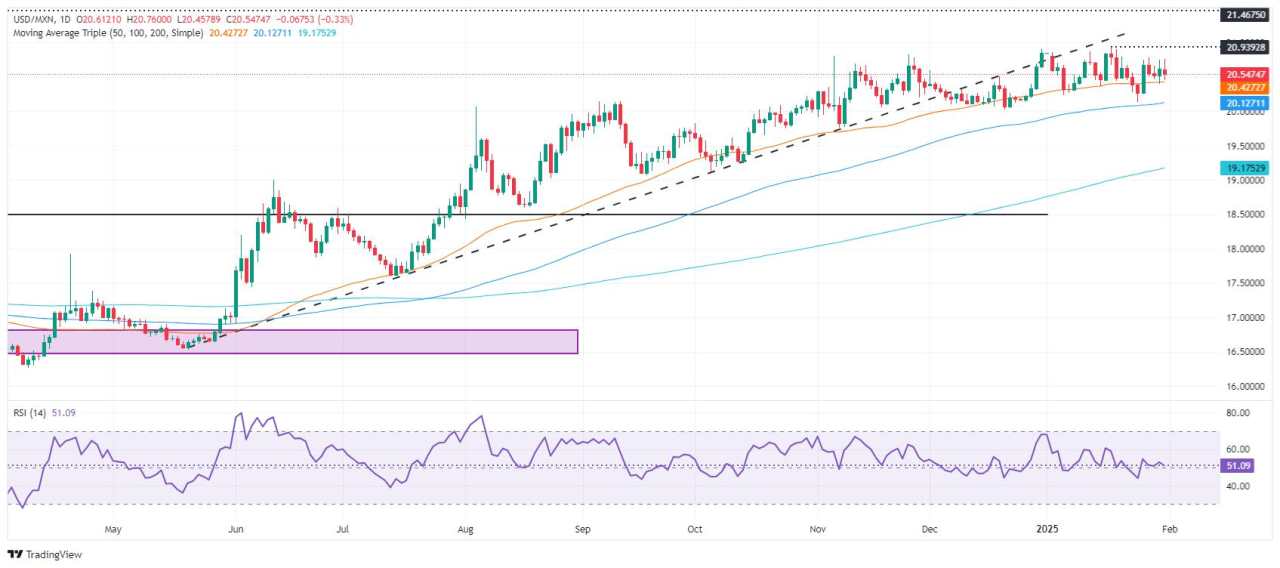 Mexican Peso rallies as Trump softens tariffs threats