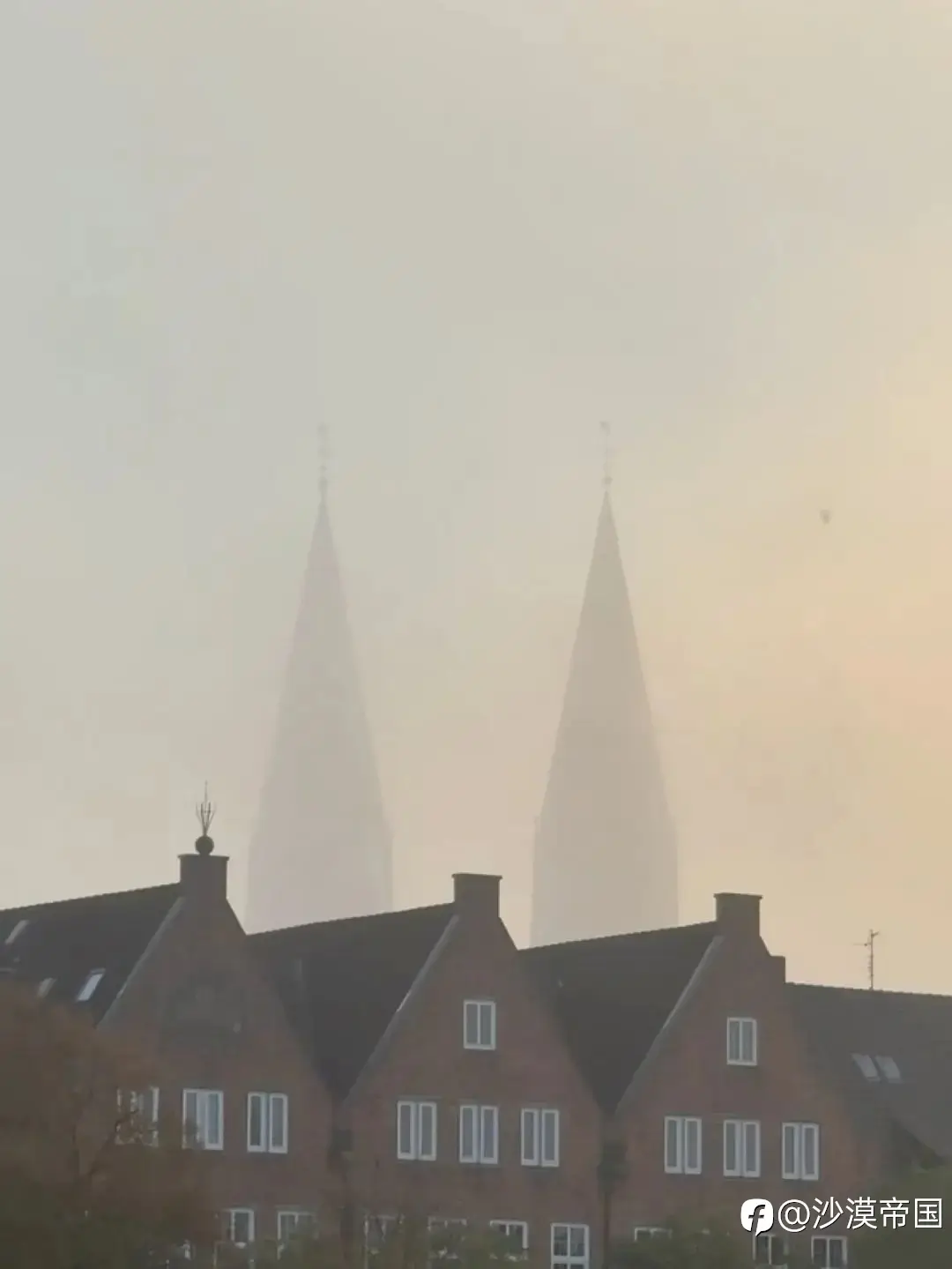 feed image
