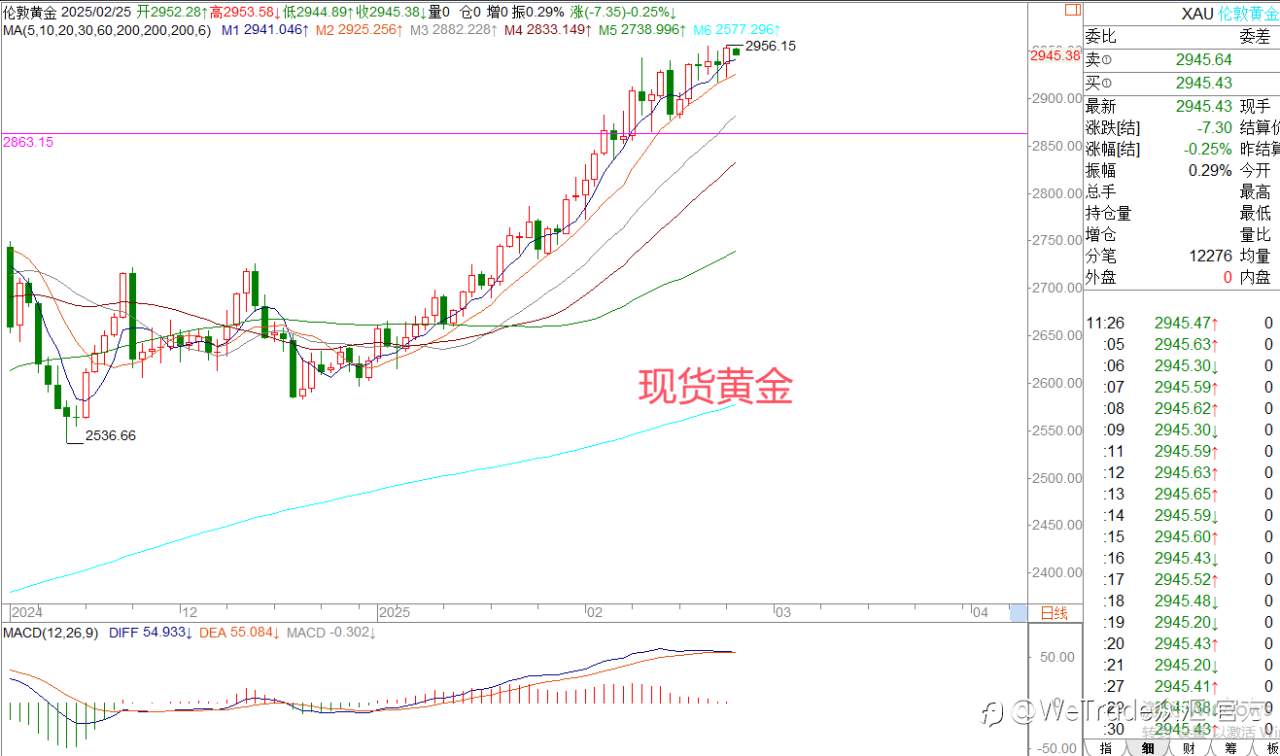 2025年2月25日|每日汇评-策略分析|王萍:黄金多头还未变能量稍较弱