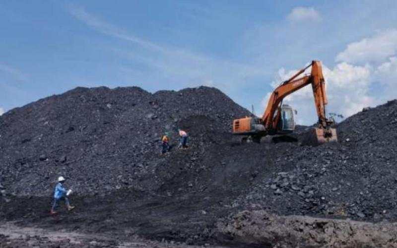 5 Petinggi Petrindo Kompak Borong Saham CUAN meski Gagal Masuk MSCI