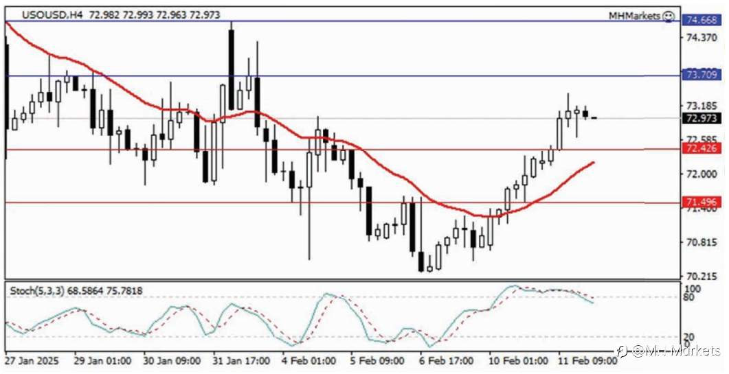 MH Markets 市场分析 2025-02-12