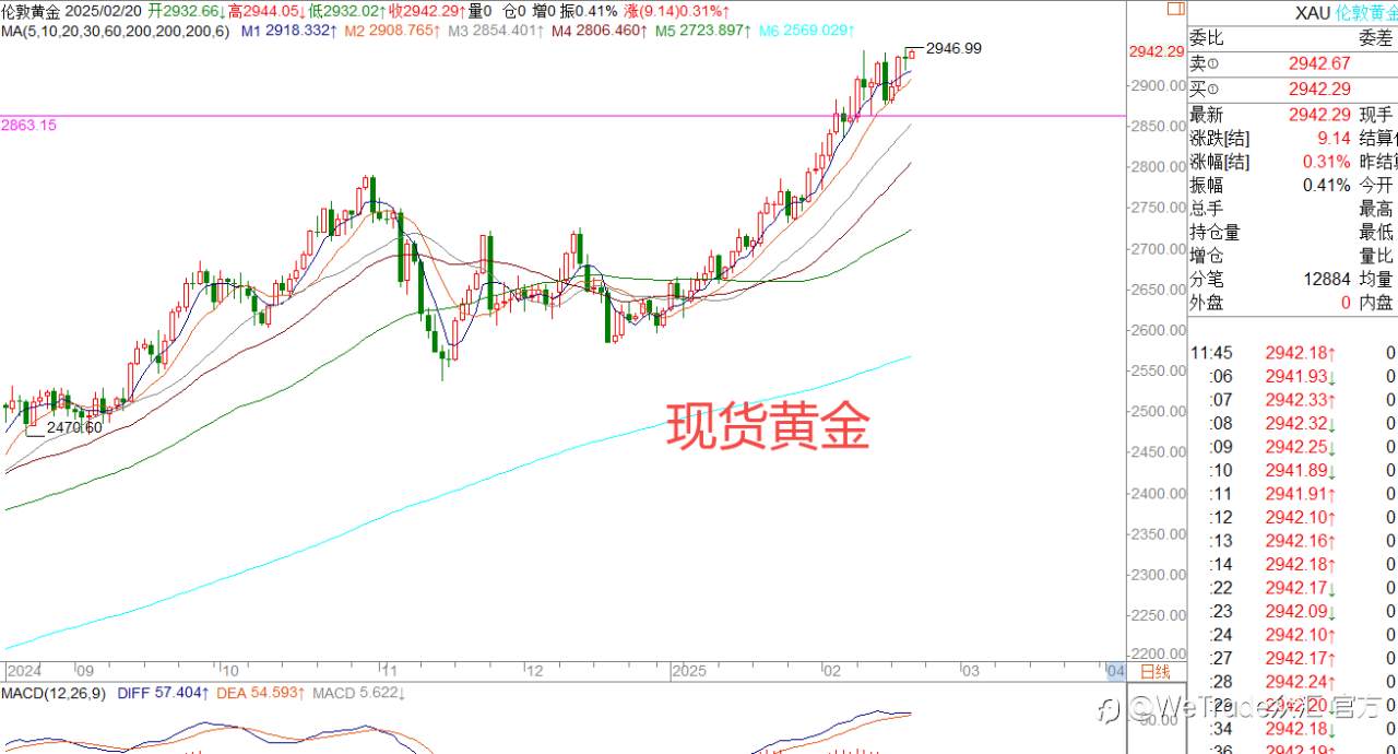 2025年2月20日|每日汇评-策略分析|王萍:黄金依然震荡偏多