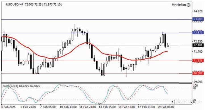 MH Markets 市场分析 2025-02-20