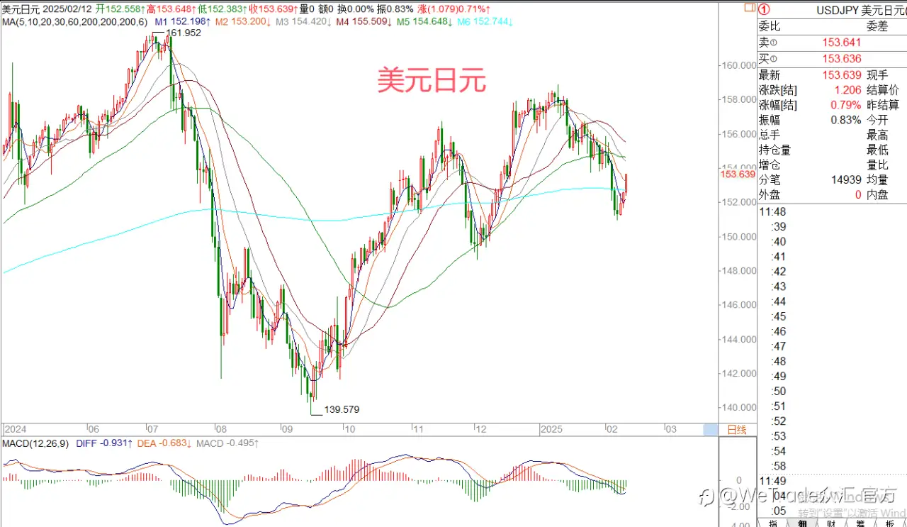 2025年2月12日|每日汇评-策略分析|王萍：黄金多头短线稍有受阻