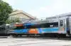 Kinerja Solid, Avian Brand (AVIA) Raih Penjualan Rp7,5 Triliun Sepanjang 2024