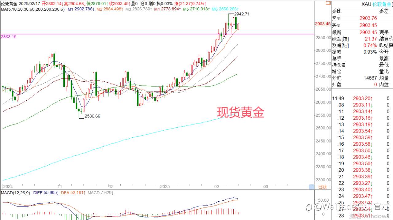 2025年2月17日|每日汇评-策略分析|王萍：黄金偏多震荡运行