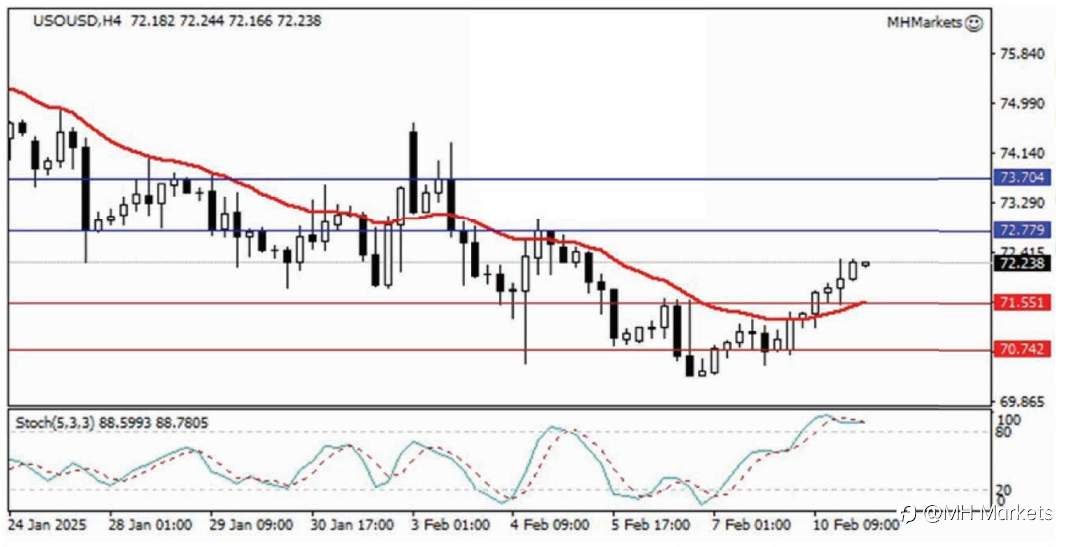 MH Markets 市场分析 2025-02-11