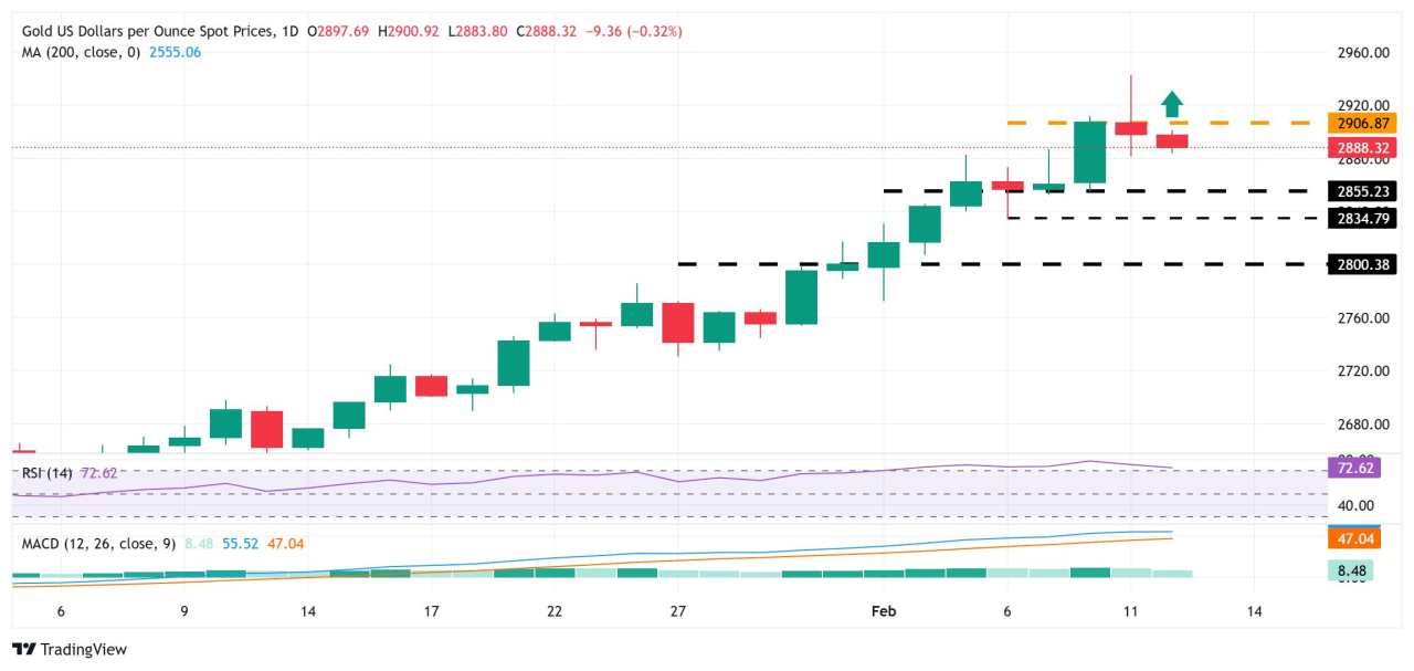 Gold price remains depressed below $2,900; downside potential seems limited