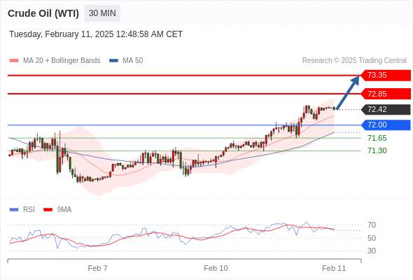 2025年2月11日-Trading Central每日策略早报