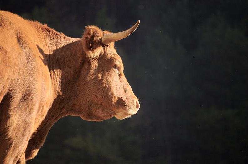 小米 合约 主力 上线 眼镜 指涨