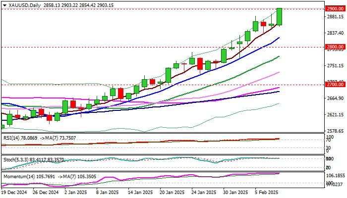 XAU/USD outlook: Gold hits new record high above $2,900