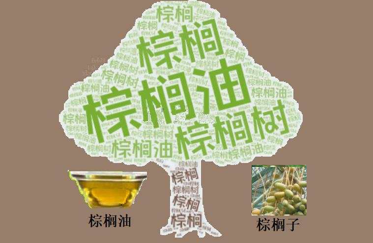 棕榈油单日暴跌104林吉特!技术死叉+印度需求崩盘,4500关口守得住吗?