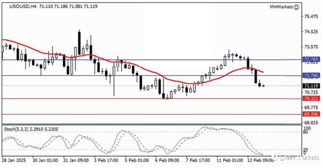 MH Markets 市场分析 2025-02-13