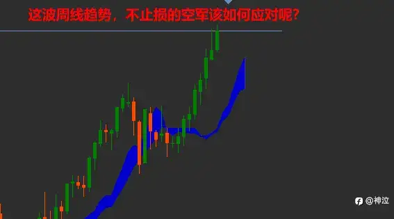 止损，保命的艺术