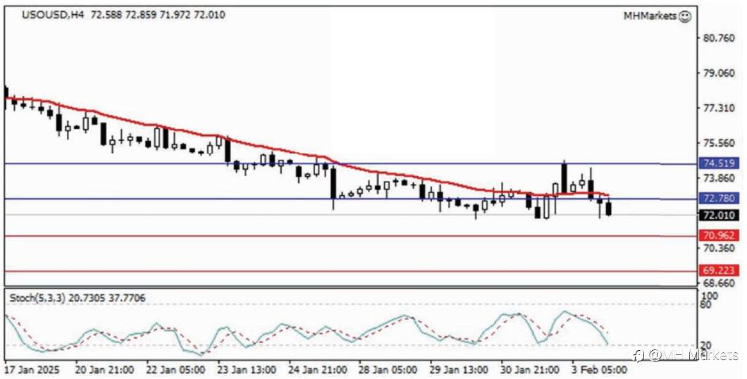 MH Markets 市场分析 2025-02-04